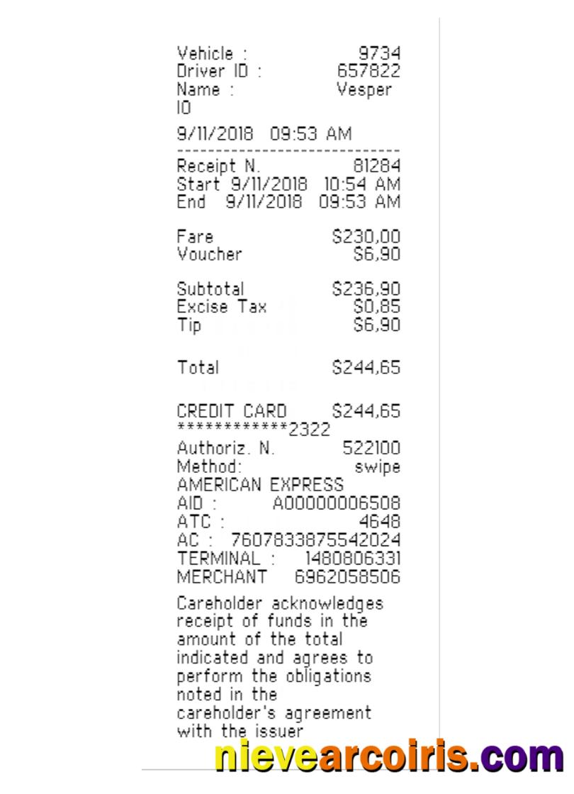 TAXI payment receipt template